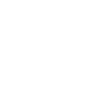 Transport Icon