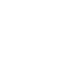 Invoice Icon